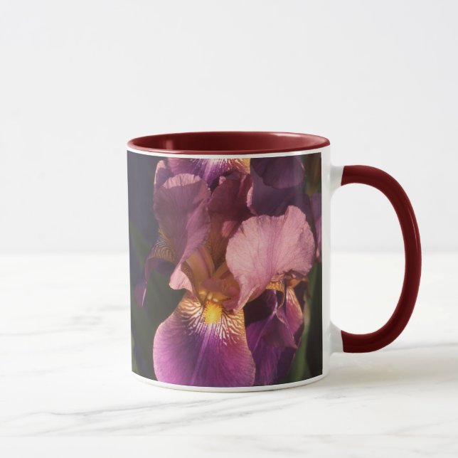 Rödbrun och rosa skäggig holländsk Iris Mugg (Höger)