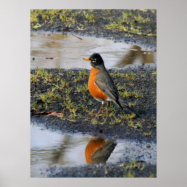 rödbrun poster (Framsidan)