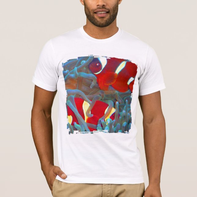 Rödbrun Tshirt för Clownfish Grunge 4 Tee Shirt (Framsida)