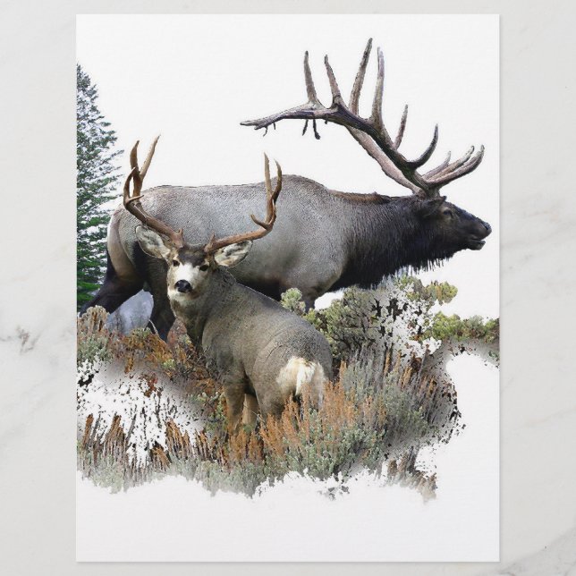 Rödbucka (Framsida)