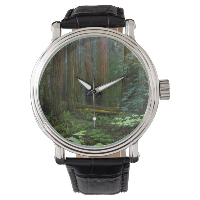 Rödekvarnar i Muir Woods National Park Armbandsur (Framsida)
