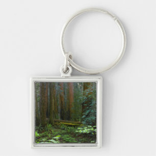 Rödekvarnar i Muir Woods National Park Fyrkantig Silverfärgad Nyckelring