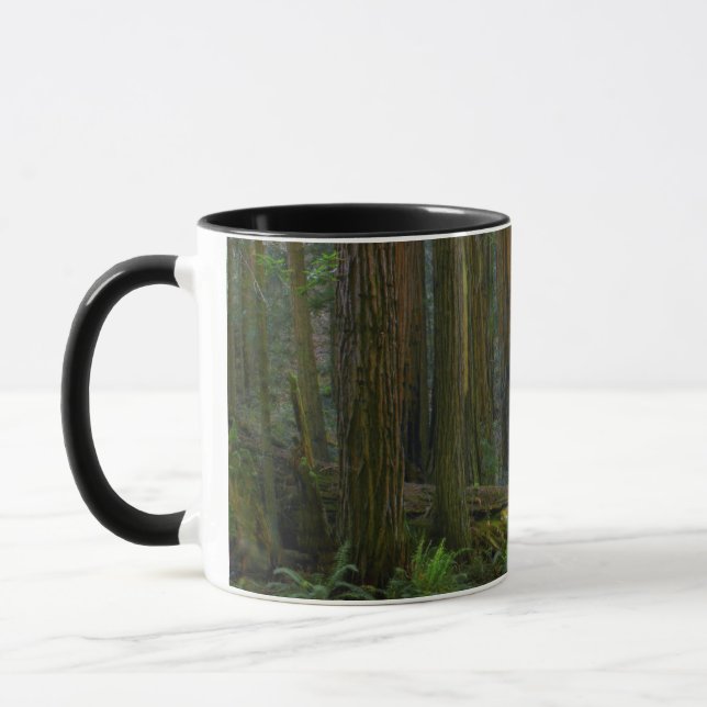 Rödekvarnar i Muir Woods National Park Mugg (Vänster)