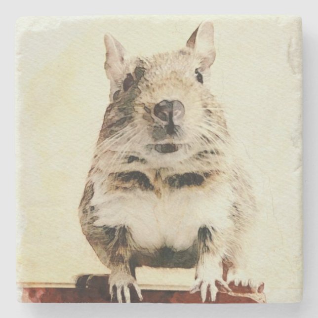 ⊿Rodent world⊿ Stenunderlägg (Framsidan)