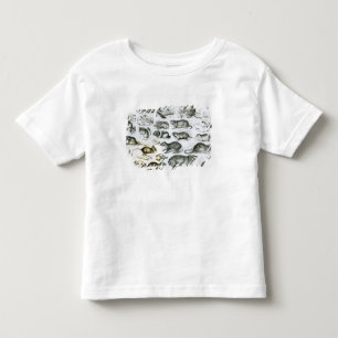 Rodentia-Rodents eller gnagande djur Tee