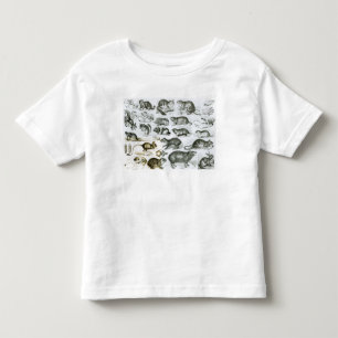 Rodentia-Rodents eller gnagande djur Tee