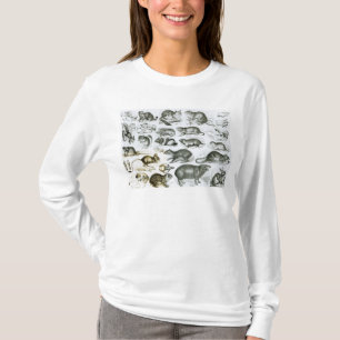 Rodentia-Rodents eller gnagande djur Tee Shirt