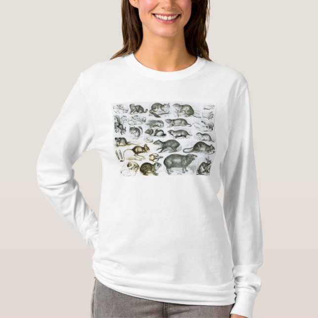 Rodentia-Rodents eller gnagande djur Tee Shirt (Framsida)