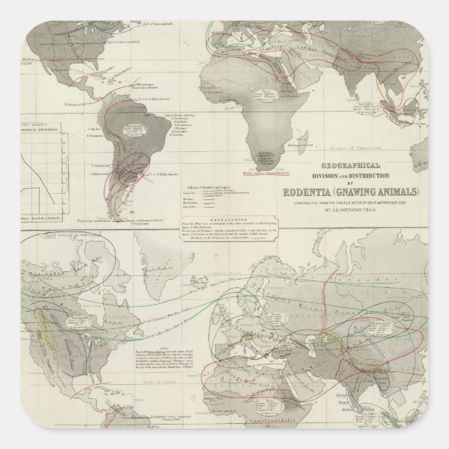 Rodentia, Ruminantia Fyrkantigt Klistermärke (Framsida)