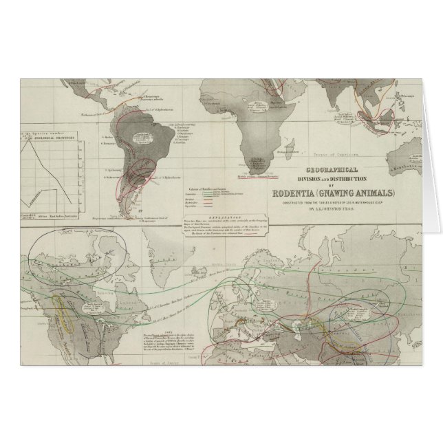 Rodentia, Ruminantia Hälsningskort (Framsidan Horizontal)