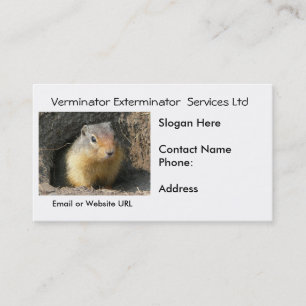 Rodentohyravisitkort Visitkort