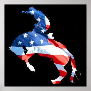 Rodeo är America - Bronco Riding Poster