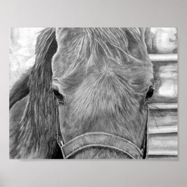 Rodeo-bild Poster (Framsidan)