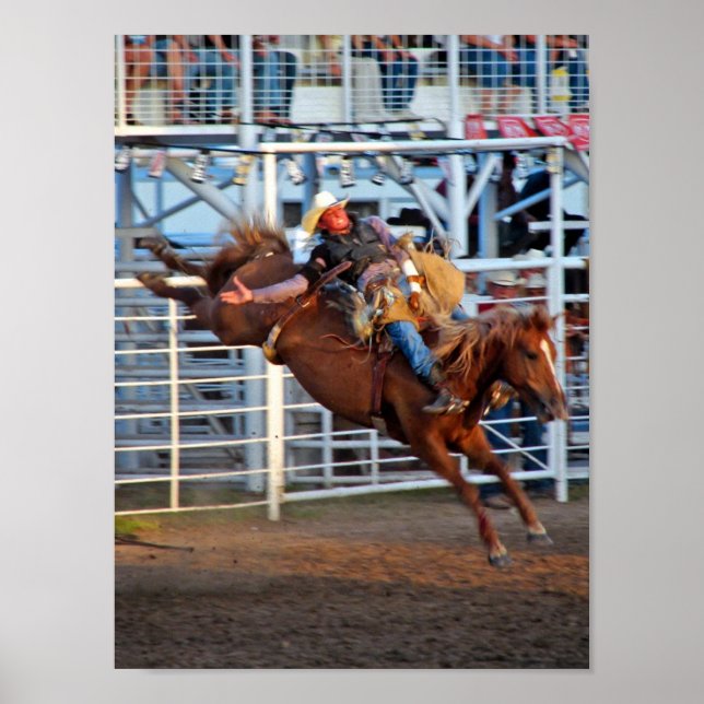 Rodeo Bucking Poster (Framsidan)
