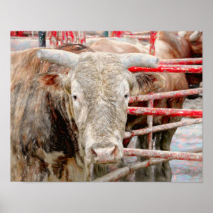 Rodeo Bull Rustic Westernare Land Poster