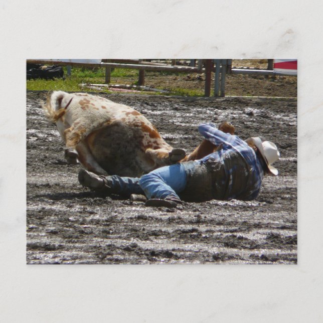 Rodeo Cowboy Steer Wrestling Vykort (Framsida)