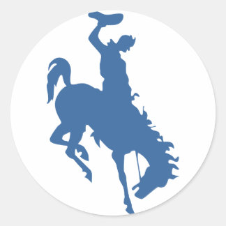 Rodeo Cowboy Stickers Runt Klistermärke