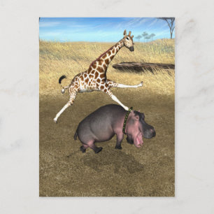 Rodeo Hippo Vykort