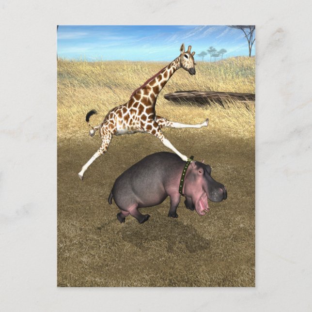 Rodeo Hippo Vykort (Framsida)