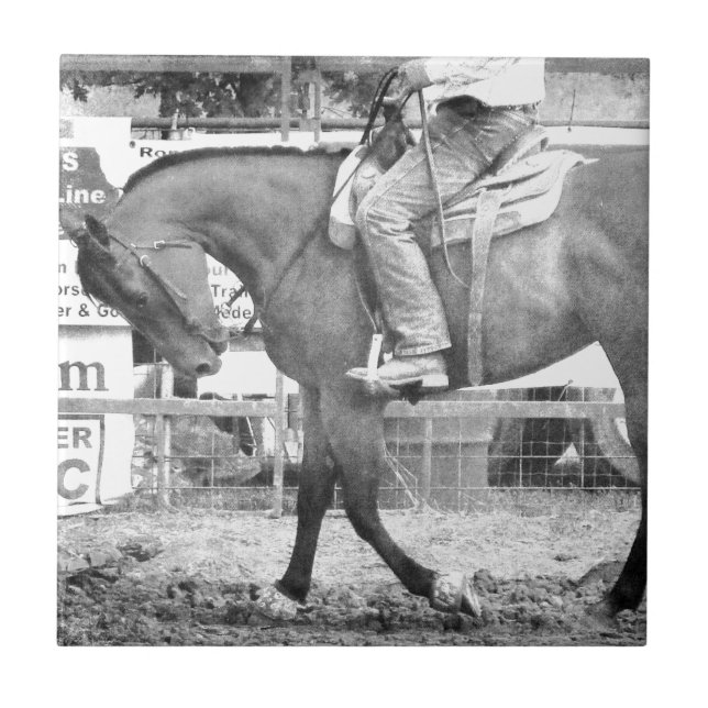 Rodeo Horse Warm-up Black and White Kakelplatta (Framsidan)