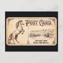 Rodeo, New Mexico - Häst Vintage vykort