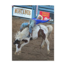 Rodeo-samlingen - Vild Ride