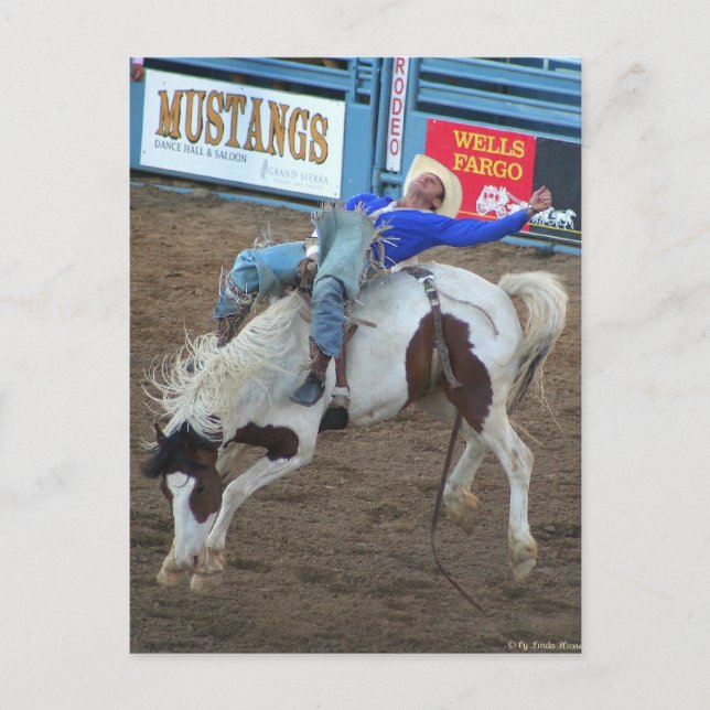 Rodeo-samlingen - Vild Ride Vykort (Framsida)