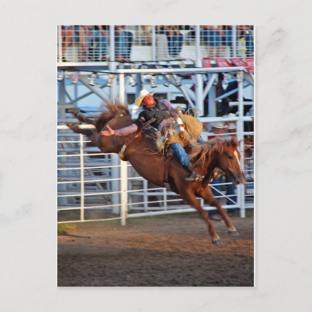 Rodeo! Vykort (Framsida)