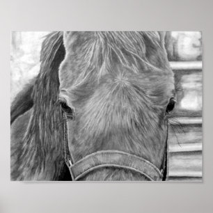 Rodeoen avbildar poster