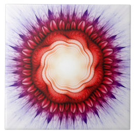 Rödfärgad ornament i blommigt kakelplatta