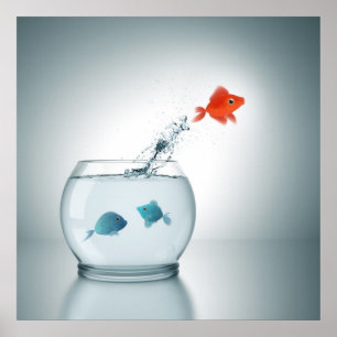 rödfisk som hoppar poster