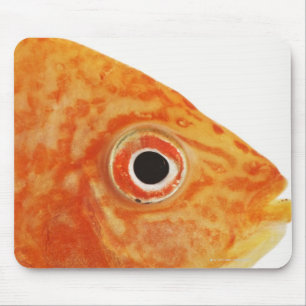 Rödfiskfisk Musmatta