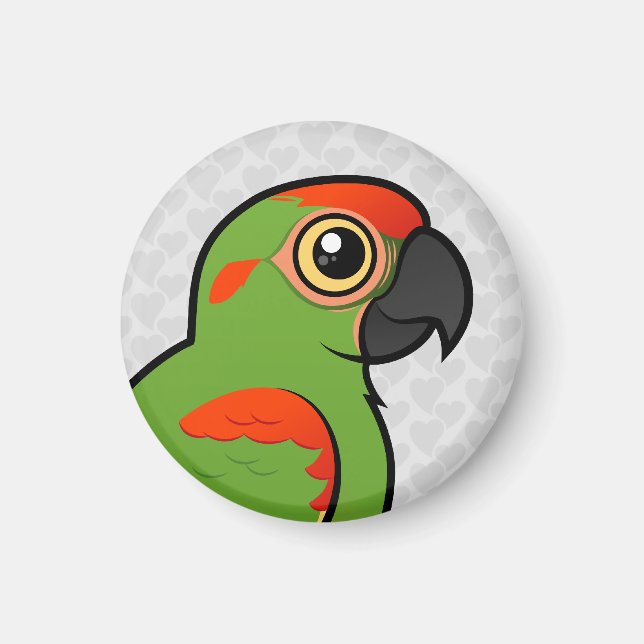 Rödfronten Macaw Magnet (Framsidan)