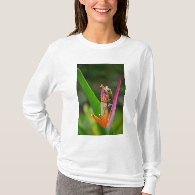 Rödgroda, öga, träd, Costa Rica T-shirt (Framsida)
