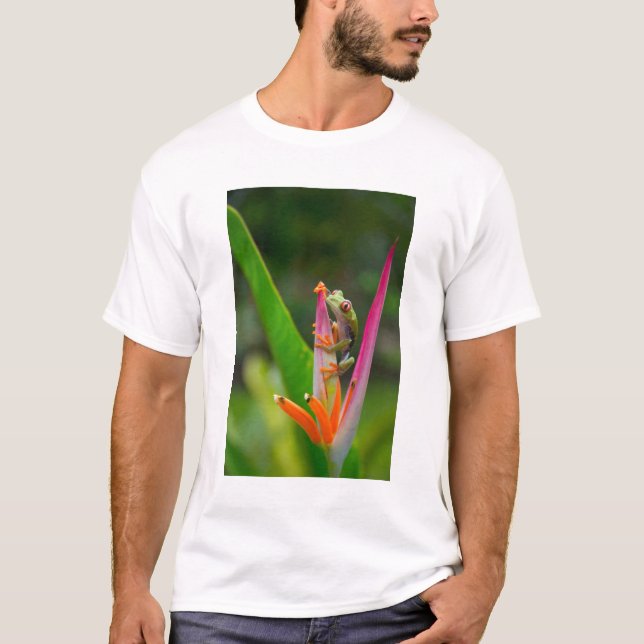 Rödgroda, öga, träd, Costa Rica Tee Shirt (Framsida)