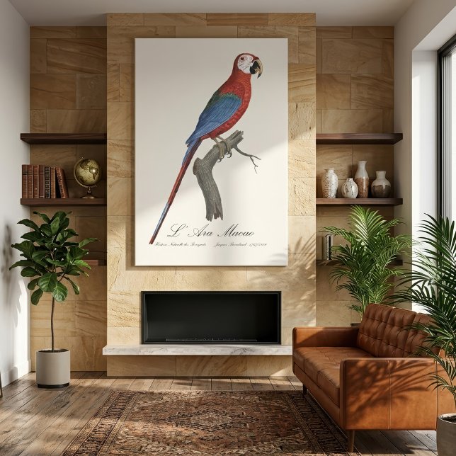 Rödgrön ara, Ara chloropterus Canvastryck (Red-and-green Macaw, Ara chloropterus. Canvas Print)