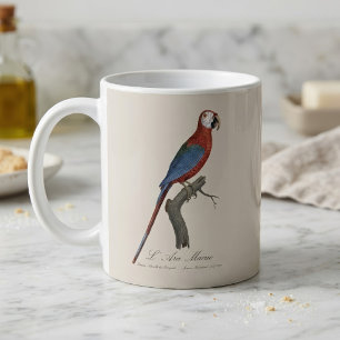 Rödgrön ara, Ara chloropterus Kaffemugg