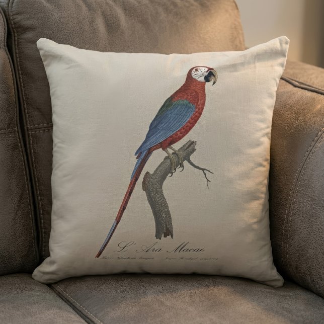 Rödgrön ara, Ara chloropterus Kudde (Red-and-green Macaw, Ara chloropterus. Throw Pillow)