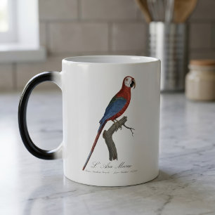 Rödgrön ara, Ara chloropterus Magisk Mugg