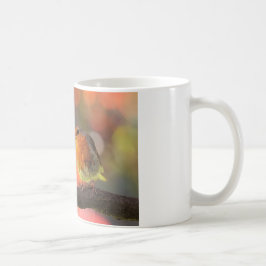 Rödhake på gren kaffemugg