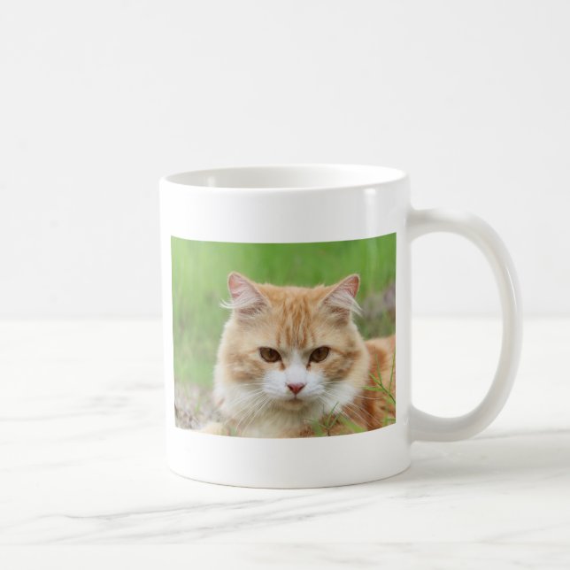 Rödhårig och vit katt, så söt! kaffemugg (Höger)