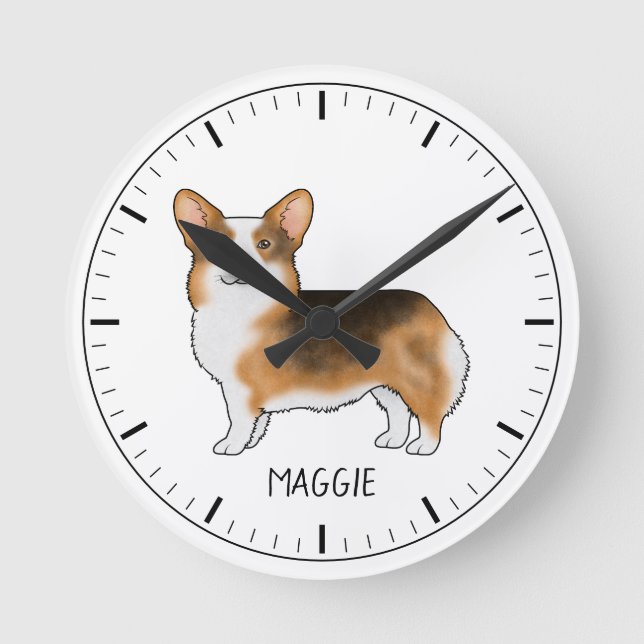 Rödhårig trefärgad Pembroke Welsh Corgi och namn Rund Klocka (Framsida)