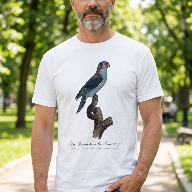 Rödhuvad lorikit / Musk Lorikeet T Shirt (Musk Lorikeet, Trichoglossus Concinnus. Men Basic White T-Shirt)