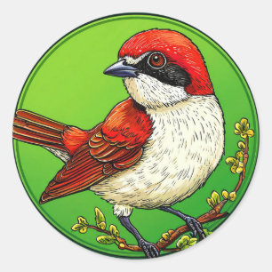 Rödhuvad törnskata 🦜 Livfull Fågel Vilda Djur Kon Runt Klistermärke
