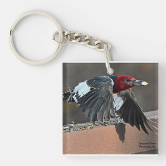 Rödhuvad träspett