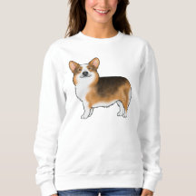 Rödkammad trefärgad Pembroke Welsh Corgi söt hund