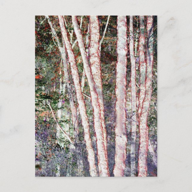 Rödkant Träd Vykort (Framsida)