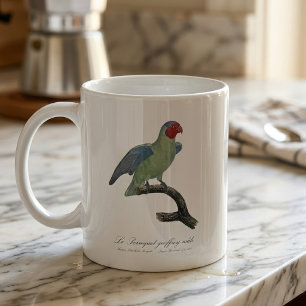 Rödkind papegoja, Geoffroyus geoffroyi Kaffemugg
