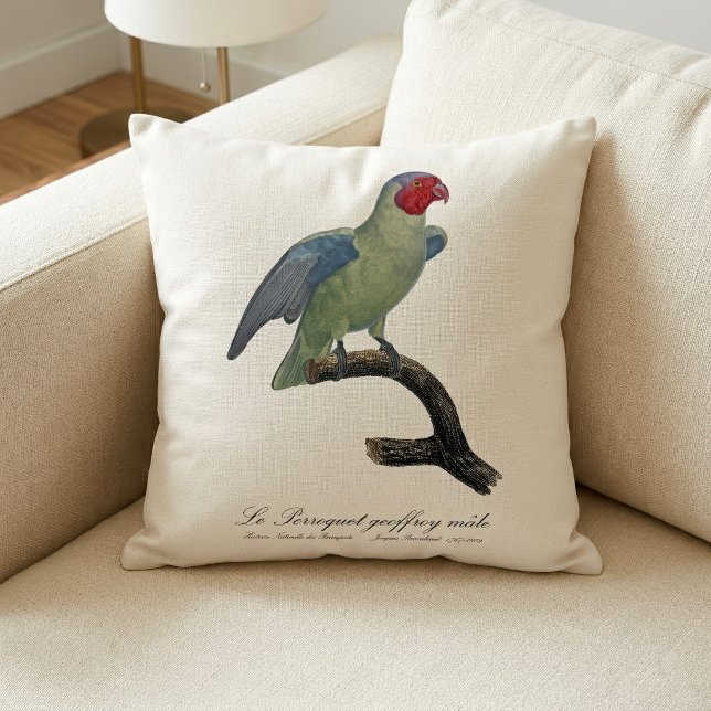Rödkind papegoja, Geoffroyus geoffroyi Kudde (Male Red-Cheeked Parrot, Geoffroyus geoffroyi. Throw Pillow)