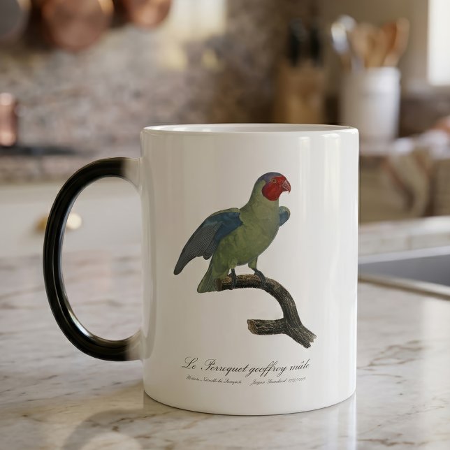 Rödkind papegoja, Geoffroyus geoffroyi Magisk Mugg (Male Red-Cheeked Parrot, Geoffroyus geoffroyi. Color Morph Mug)